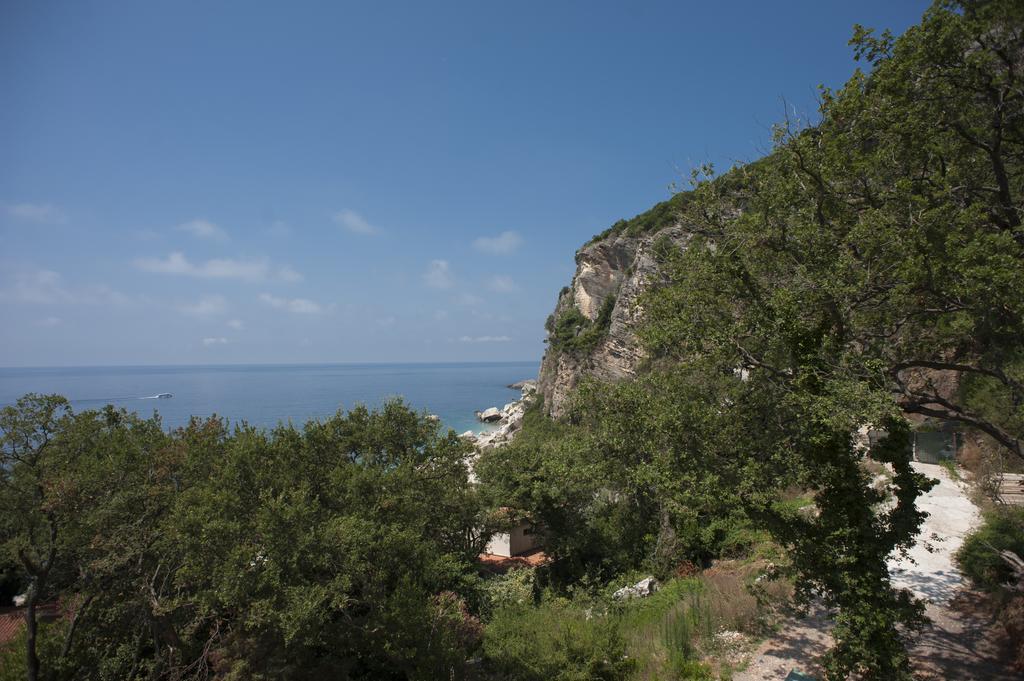 Petrovac Apartments Villa Simonovic מראה חיצוני תמונה